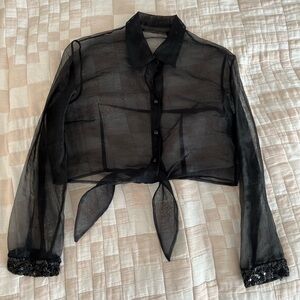 Vintage Black Sheer Long Sleeve Crop Top